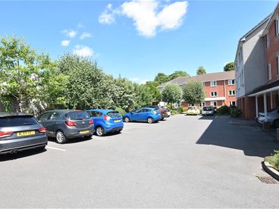 Picture 25